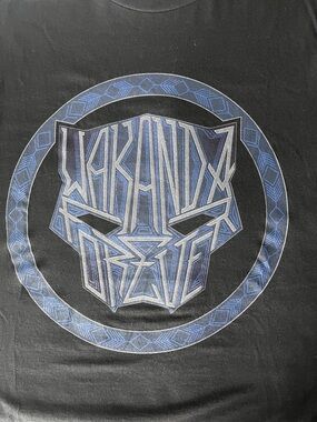 Marvel Wakanda Forever Logo T-Shirt Size M Bioworld Graphic Tee